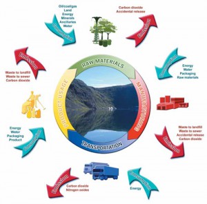 sustainable life cycle